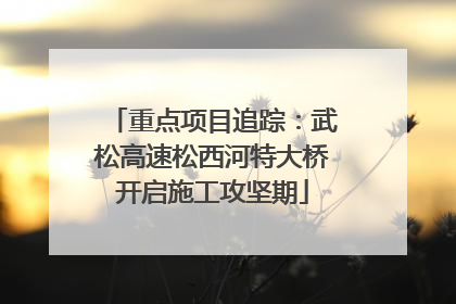 重点项目追踪：武松高速松西河特大桥开启施工攻坚期